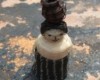 Native American Basket - Horse Hair Basket