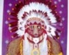 American Indian Film Festival 1995