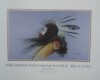 White Mountain Native American Art Festival 1992